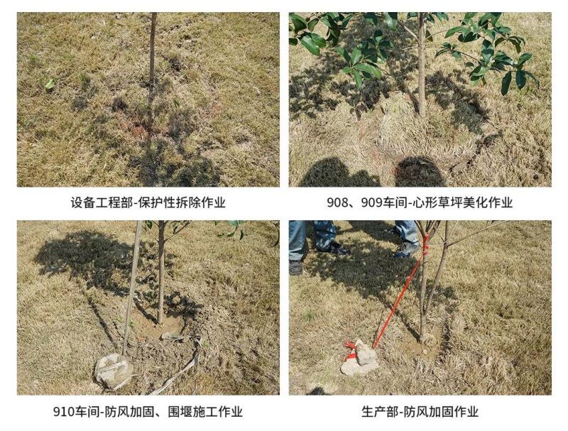 5001拉斯维加斯(中国游)有限公司官网